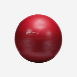 PALLA FITNESS DIAMETRO 55 Cm