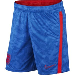 SHORTS DA calcio UOMO INGHILTERRA 2020 STADIUM AWAY NIKE