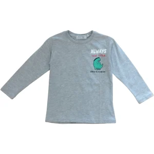 Maglia Bambino Manica Lunga Grigia con Dinosauro